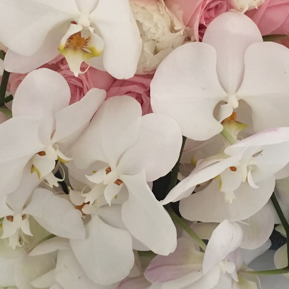 Meet your Posher, Tiffany